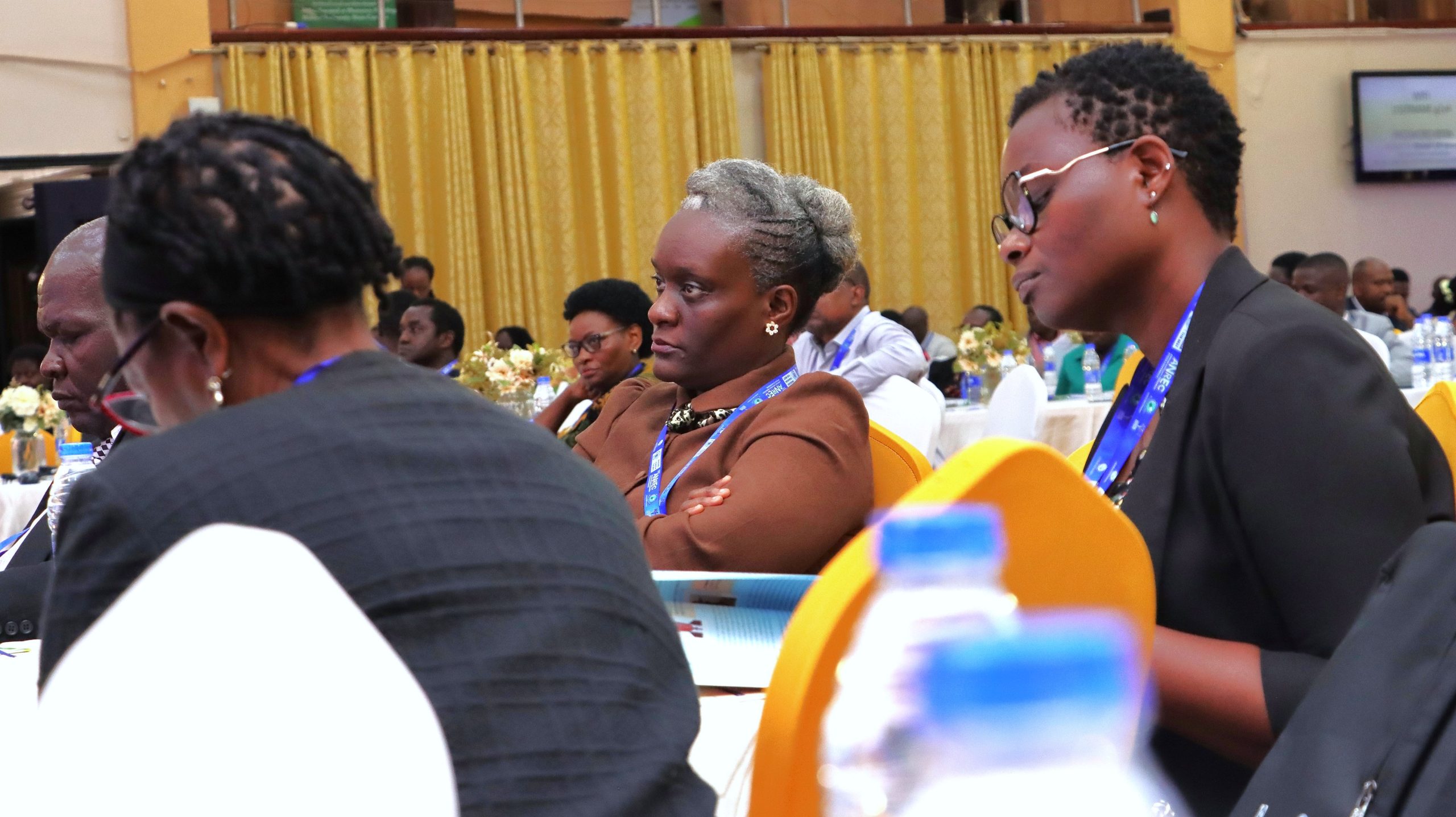 12th ANREC- Priscilla W